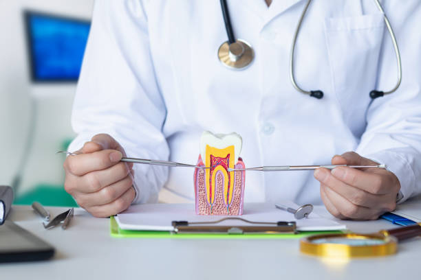 Best Emergency Dental Care for Trauma or Injury in Grant, AL